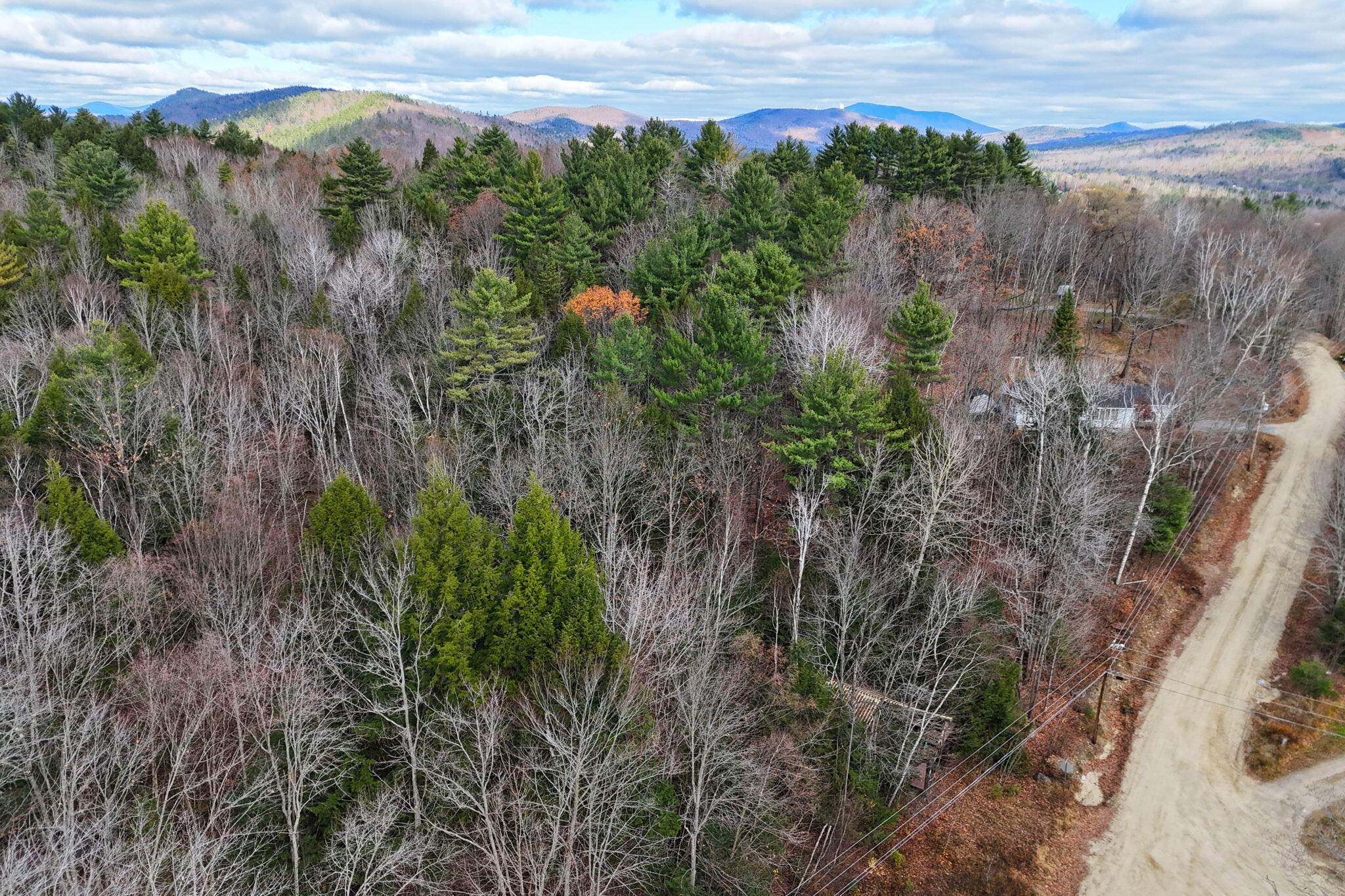 Lot 84 Hutchinson Road Peru, ME 04290 - Photo 9 of 16 13-web-or-mls-16-hutchinson-rd