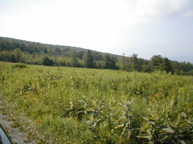 763 Fox Creek Road Rensselaerville, NY 12120 - Photo 2 of 4 Photo 2