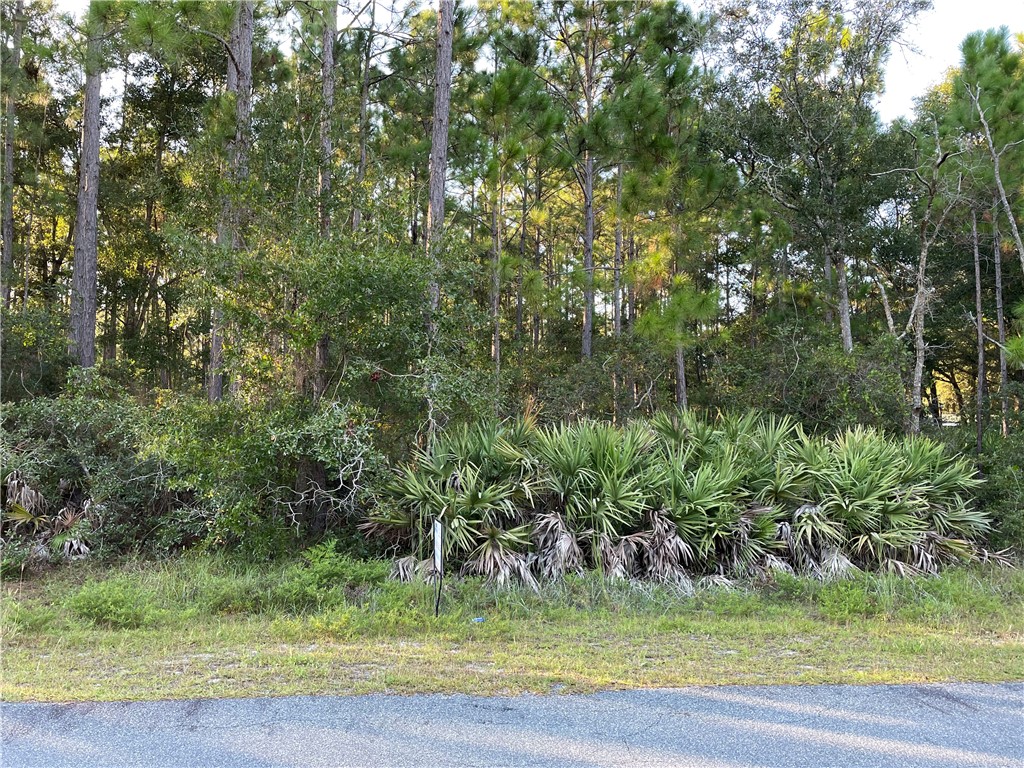 Lot 35 Springhill Road Fernandina Beach, FL 32034 - Photo 1 of 7 Gallery Image 1