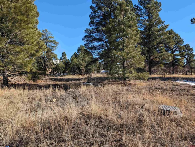 a view of a lake with lots of trees