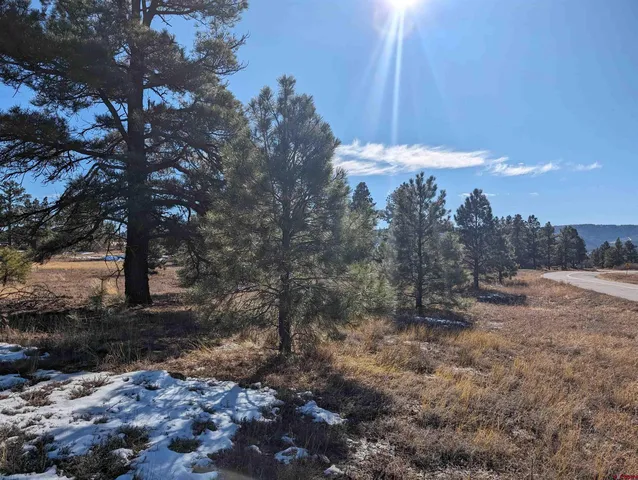 $130,000 | 129-147 Park Avenue, Pagosa Springs, CO 81147