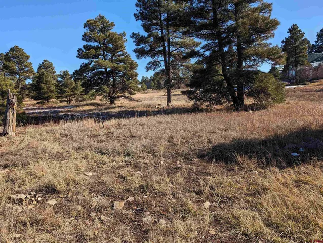 a view of a yard with wooden fence