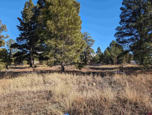 a view of a lake with a tree in the background