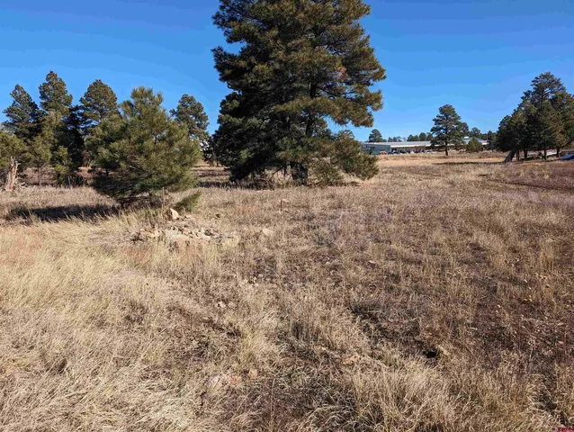 a view of a yard with a tree