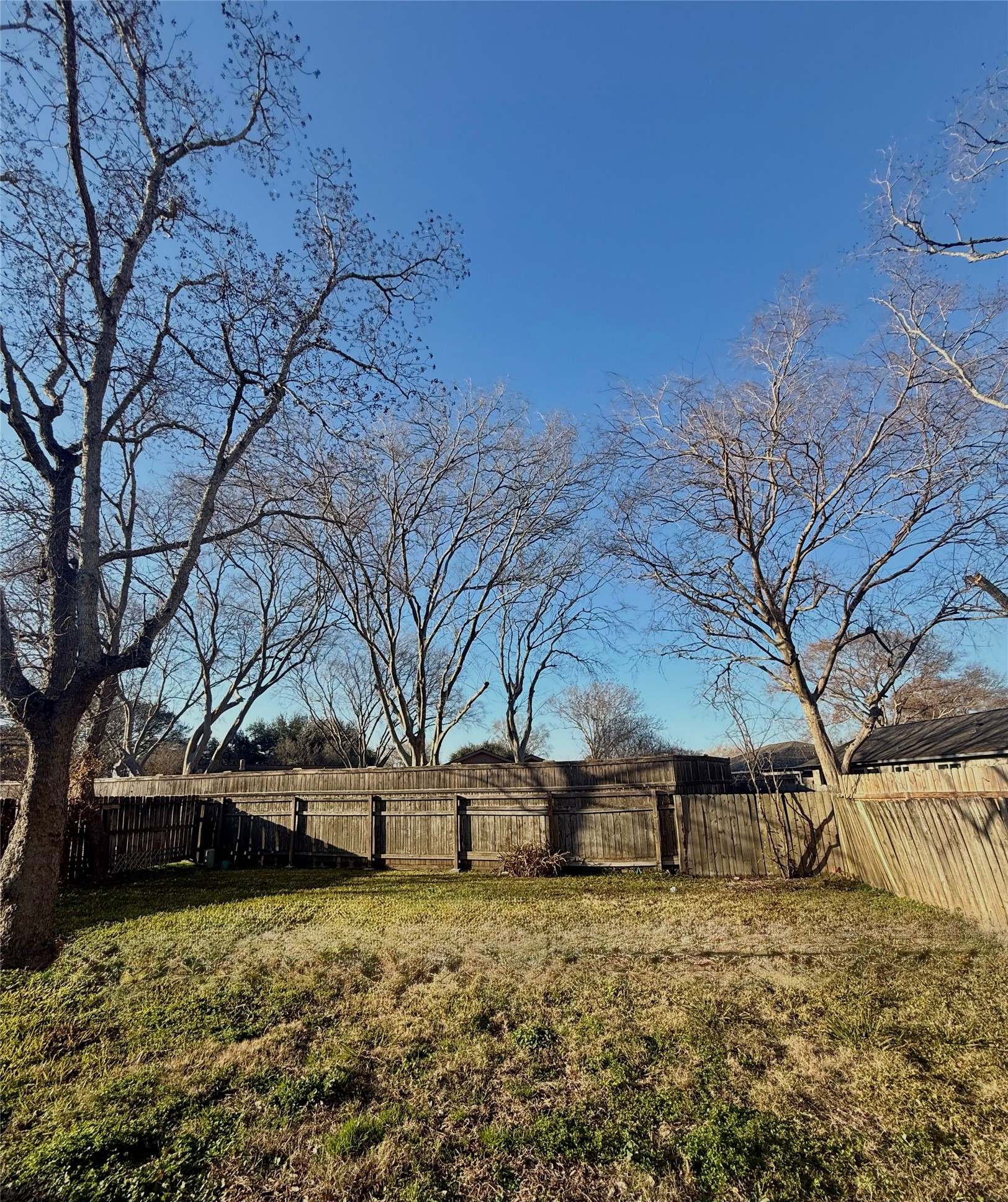 408 Bay Ridge Drive League City, TX 77573 - Photo 19 of 22 a front view of a house with a yard covered with snow
