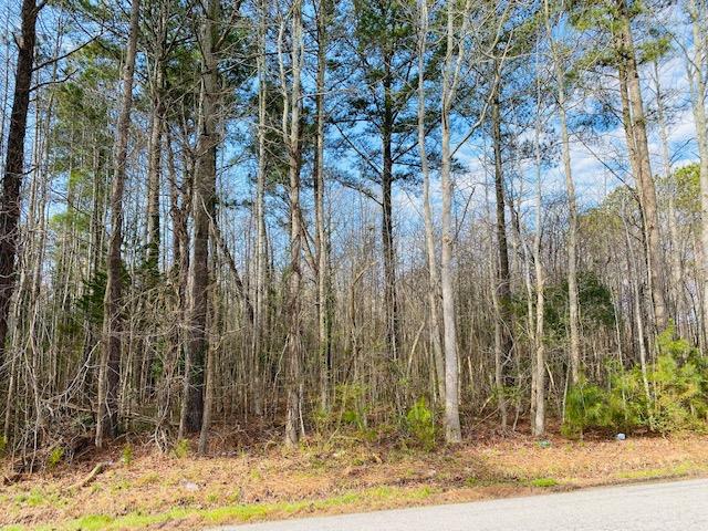 Lot 154 Mitchell Road, Unit 154 Chatham, VA 24531 - Photo 1 of 3
