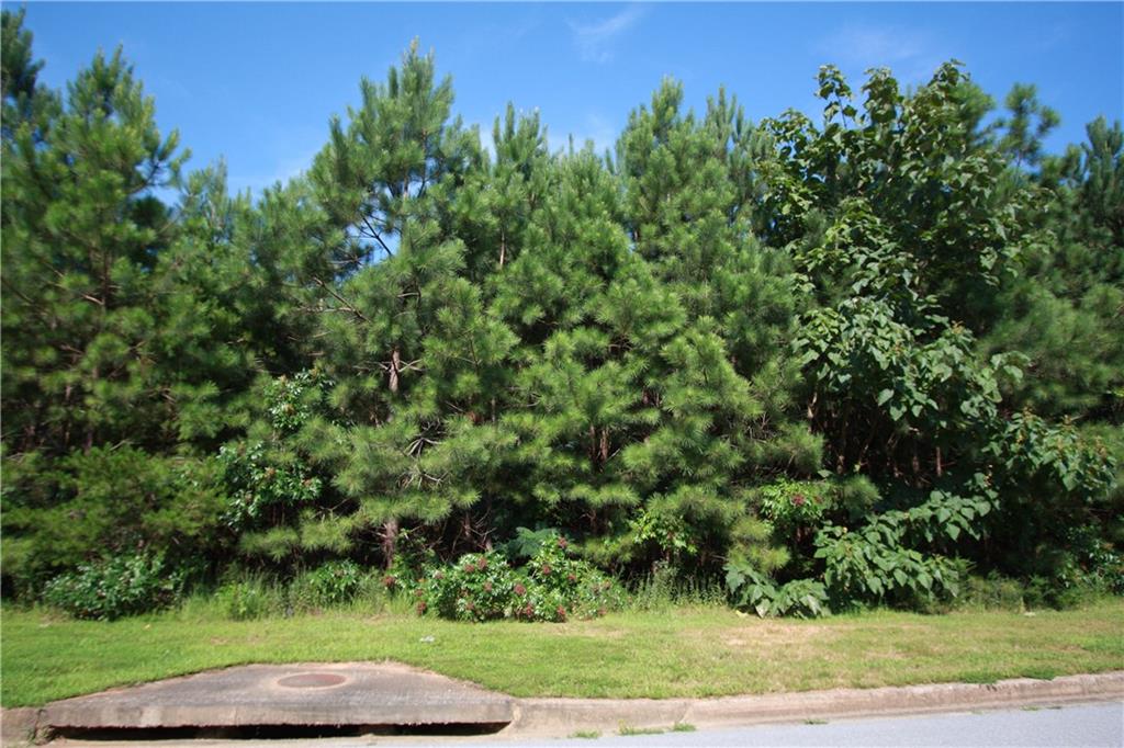 106 Cannon Ridge View Dallas, GA 30132 - Photo 1 of 1 Gallery Image 1