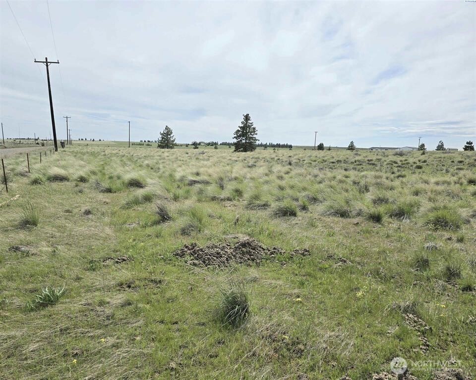 149 Middle Road Bickleton, WA 99322 - Photo 5 of 19 Gallery Image 5