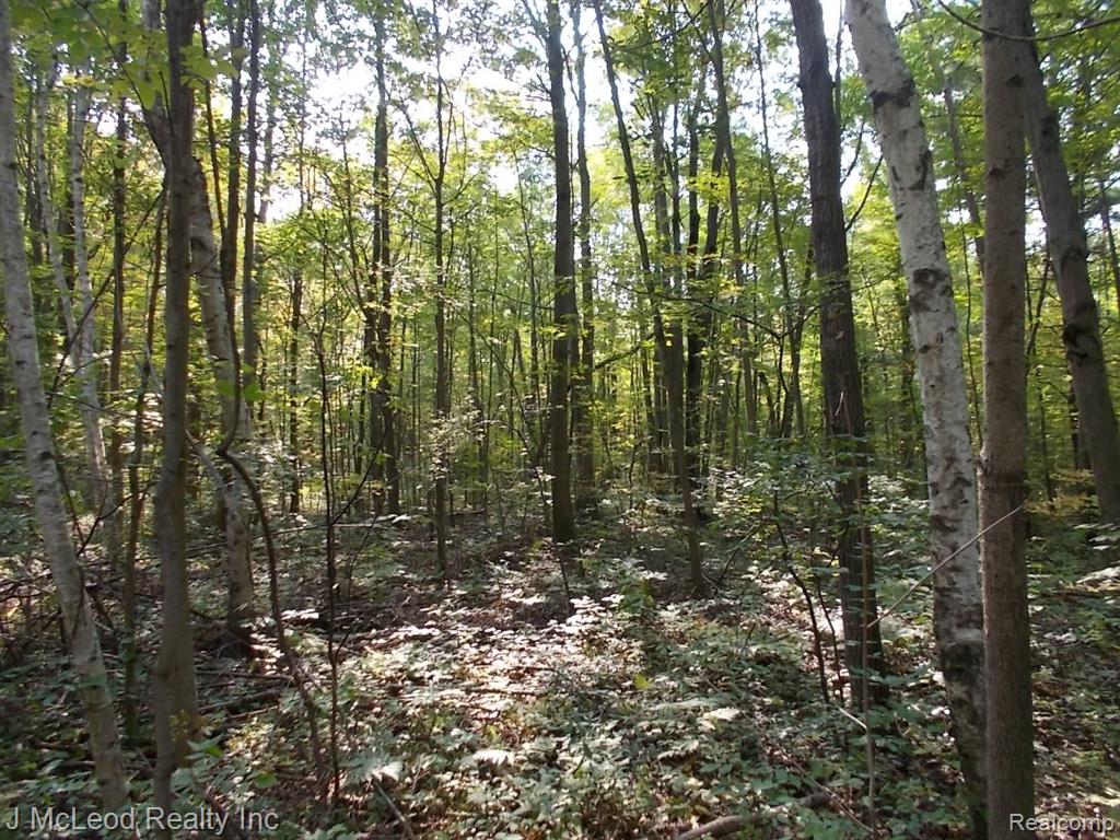 1805 Pierce Road Caro, MI 48723 - Photo 2 of 32