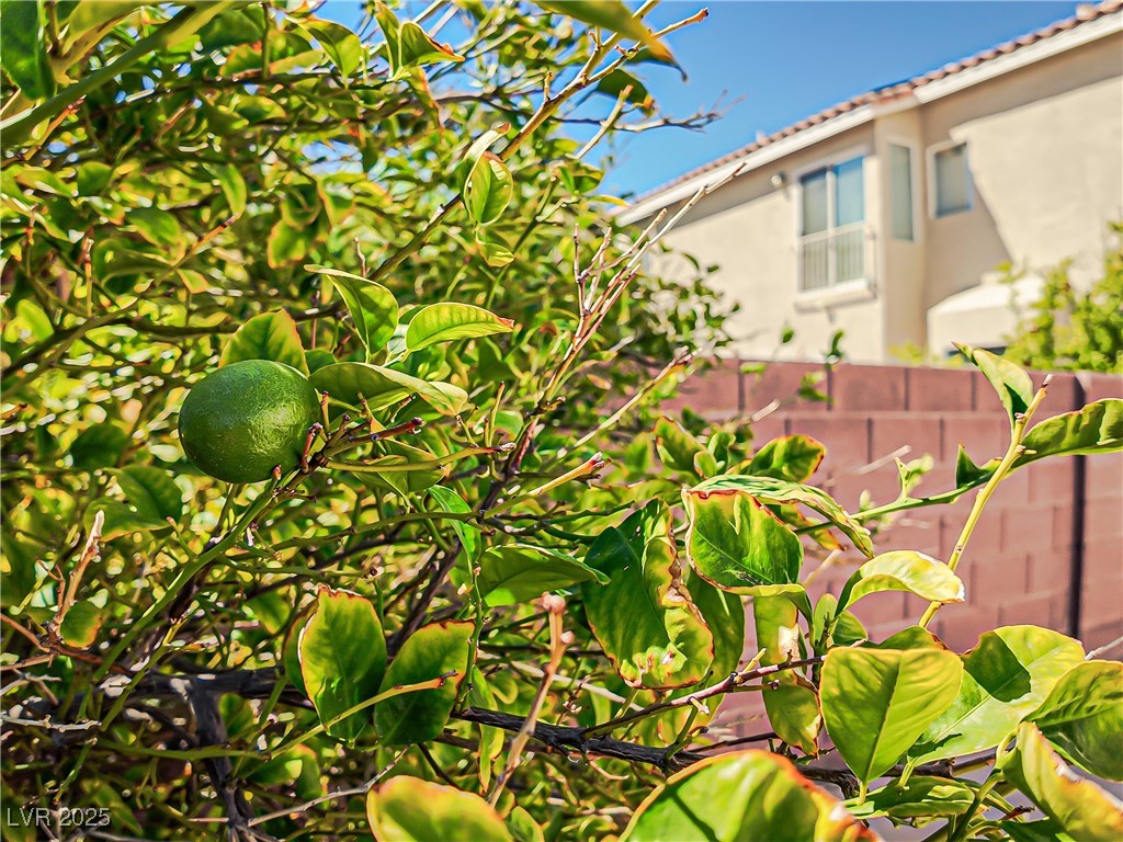 7746 Nautilus Shell Street Las Vegas, NV 89139 - Photo 61 of 64