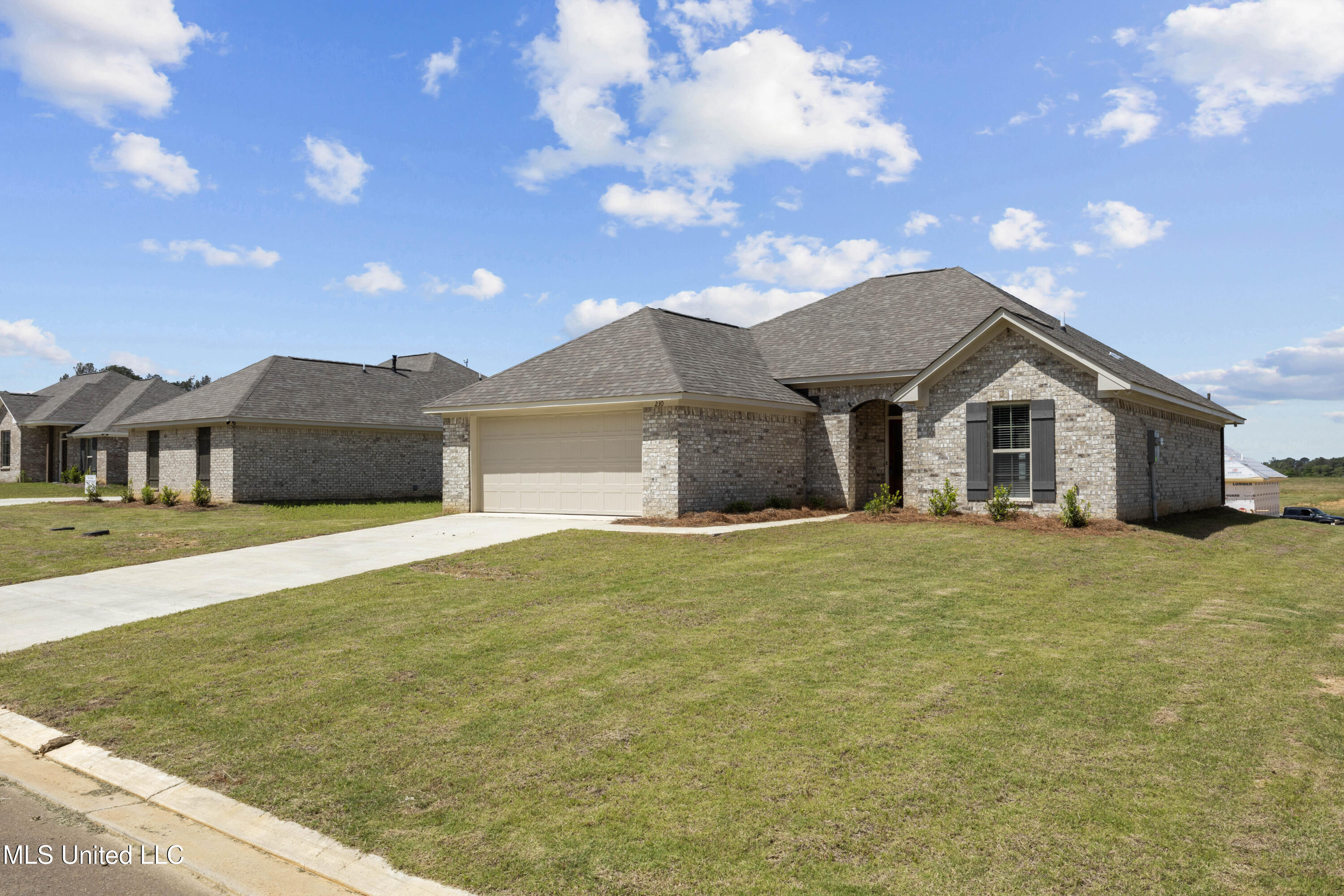 230 Hemingway Circle Canton, MS 39046 - Photo 1 of 22 EOSR9194
