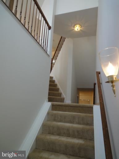 8367 Millwood Drive Springfield, VA 22152 - Photo 18 of 22 View