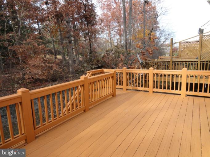 8367 Millwood Drive Springfield, VA 22152 - Photo 20 of 22 Exterior (Rear)