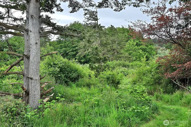 $57,500 | 0 East Farmington Drive, Greenbank, WA 98253