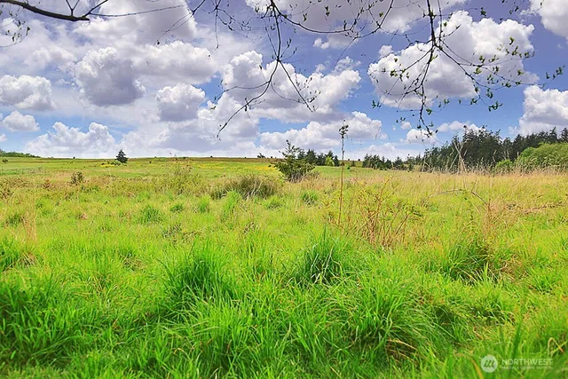 $57,500 | 0 East Farmington Drive, Greenbank, WA 98253