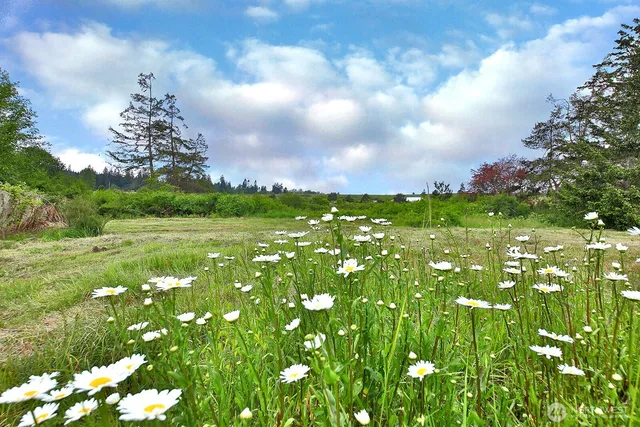 $57,500 | 0 East Farmington Drive, Greenbank, WA 98253