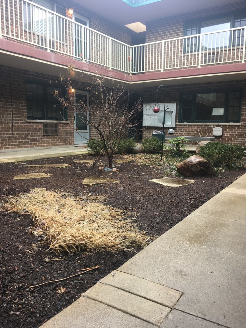 454 Spring Road, Unit 6 Elmhurst, IL 60126 - Photo 3 of 11