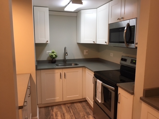 454 Spring Road, Unit 6 Elmhurst, IL 60126 - Photo 6 of 11