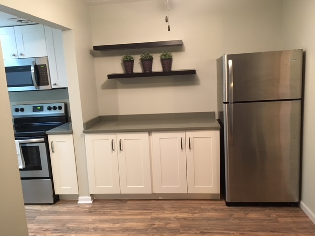 454 Spring Road, Unit 6 Elmhurst, IL 60126 - Photo 8 of 11