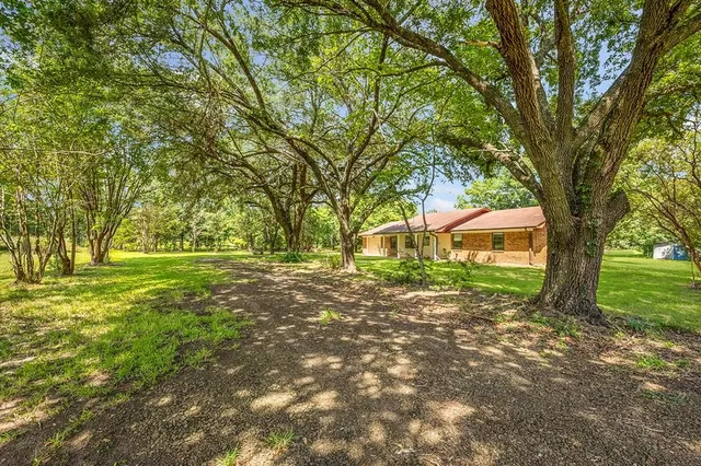 a view of a yard with plants and trees