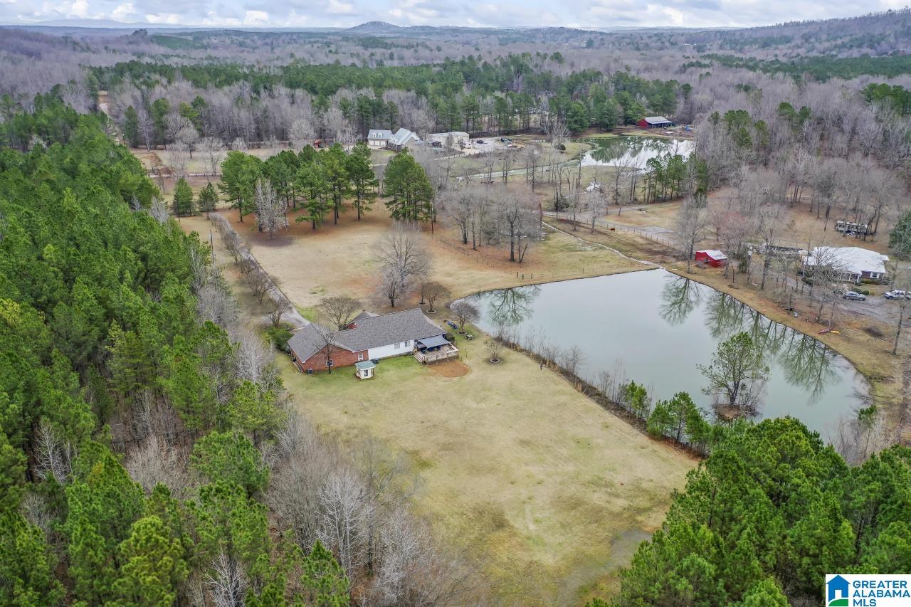 1726 Alston Farm Road Columbiana, AL 35051 - Photo 47 of 61