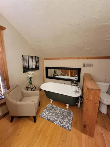 a view of a yard with plants and large trees