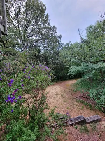 a view of a lush green forest
