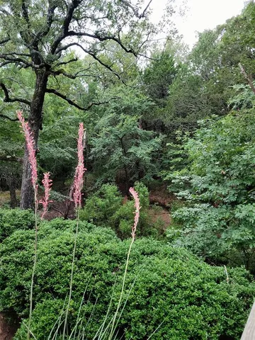 a view of a yard with a tree