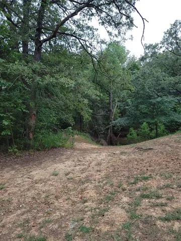 a view of yard with green space
