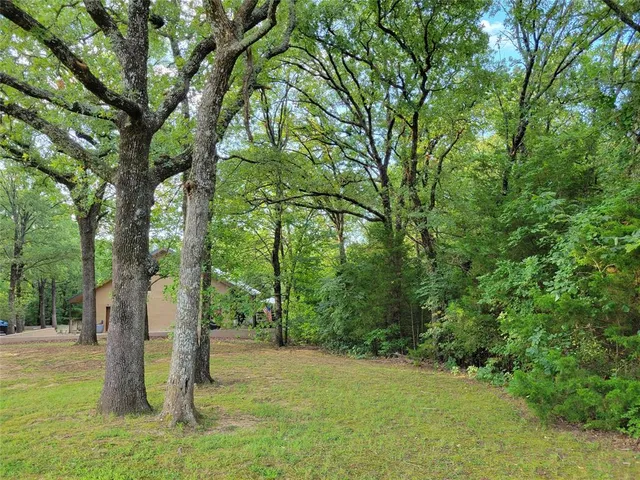 a view of a garden with a lake