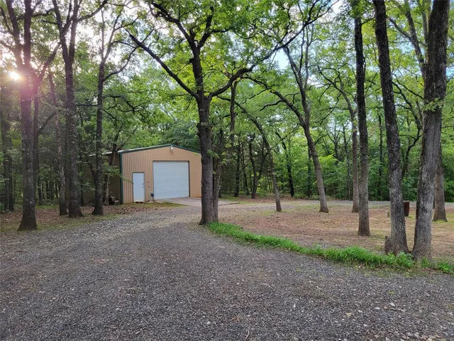 a backyard of a house with plants and large trees