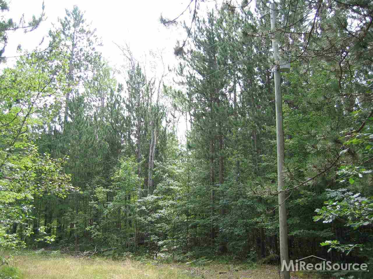 0 Meridian Line Road Johannesburg, MI 49751 - Photo 1 of 4 31228802.JPG