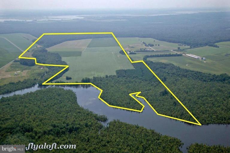 4425 Steele Neck Road Vienna, MD 21869 - Photo 1 of 5 Chicamacomico River Waterfront Grain Farm