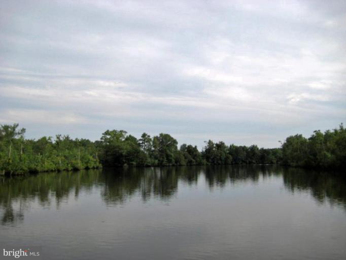 4425 Steele Neck Road Vienna, MD 21869 - Photo 2 of 5 Chicamacomico River View