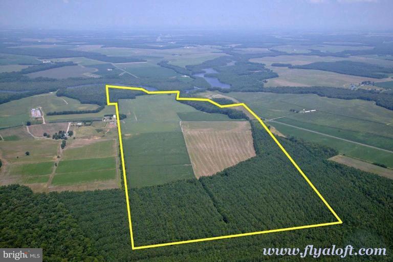 4425 Steele Neck Road Vienna, MD 21869 - Photo 5 of 5 275+/- Acre Grain Farm on the Chicamacomico River