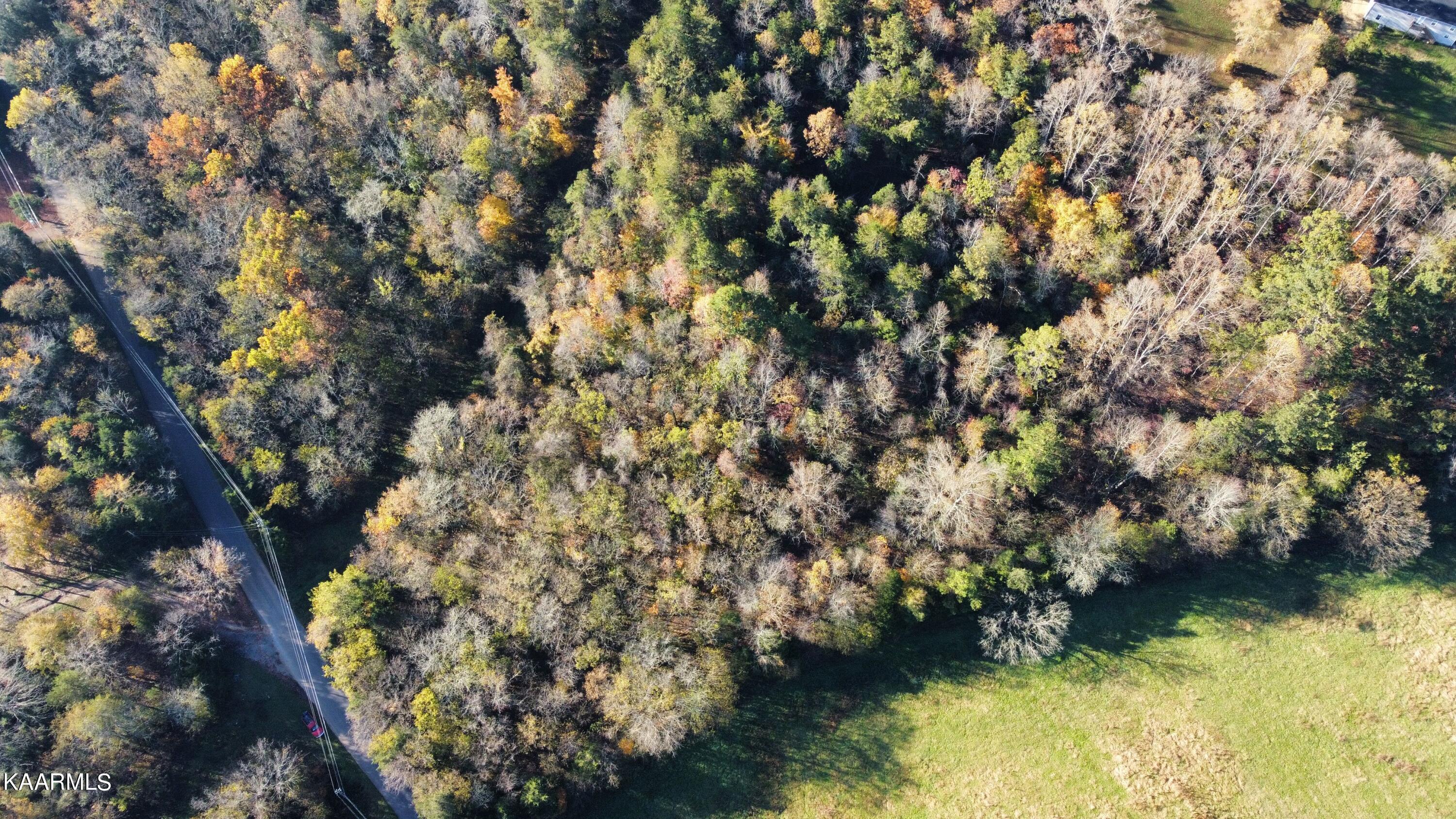 2747 Hodges Ferry Road Kodak, TN 37764 - Photo 1 of 11 2