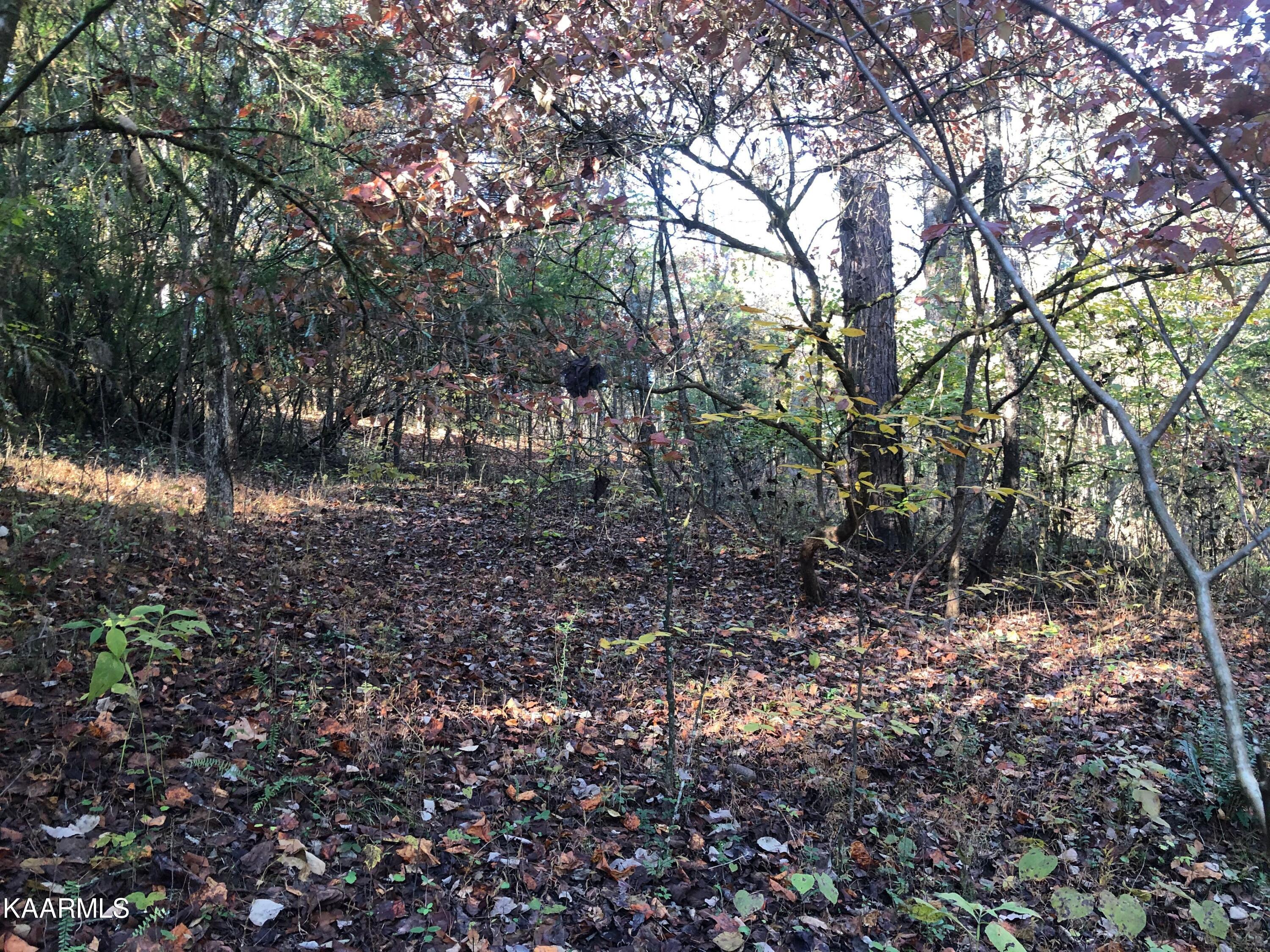 2747 Hodges Ferry Road Kodak, TN 37764 - Photo 8 of 11 9