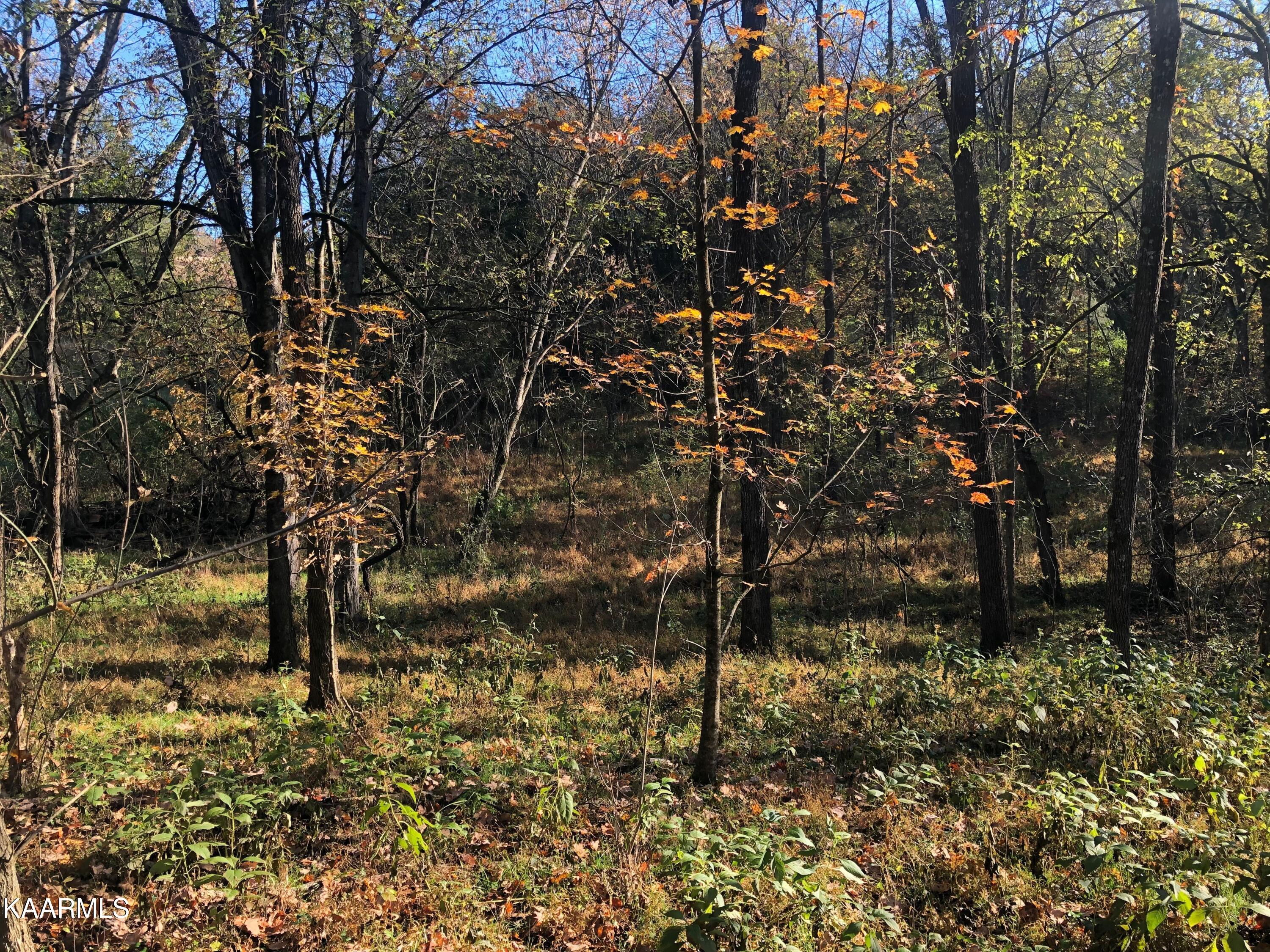 2747 Hodges Ferry Road Kodak, TN 37764 - Photo 9 of 11 11