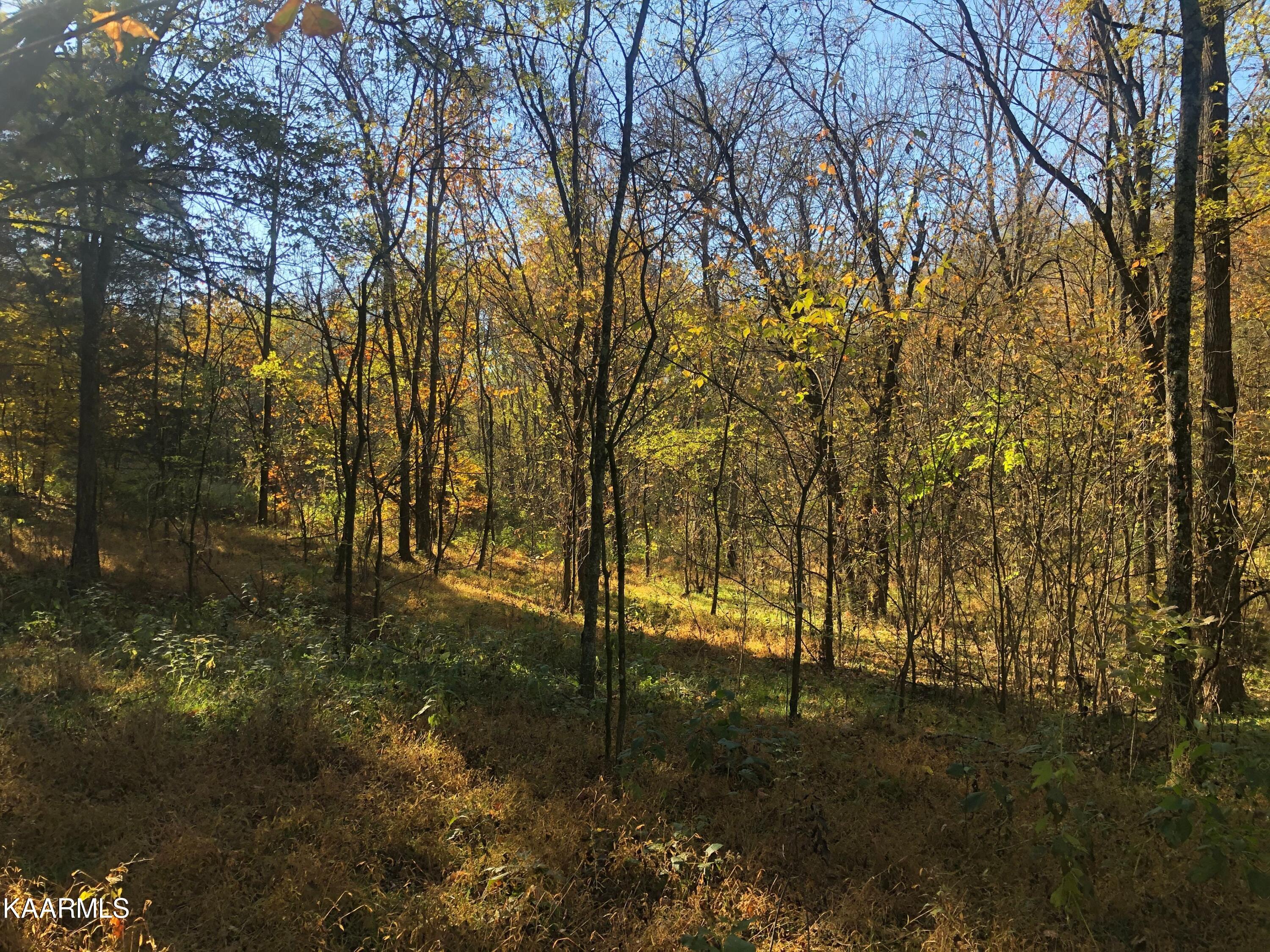 2747 Hodges Ferry Road Kodak, TN 37764 - Photo 10 of 11 12