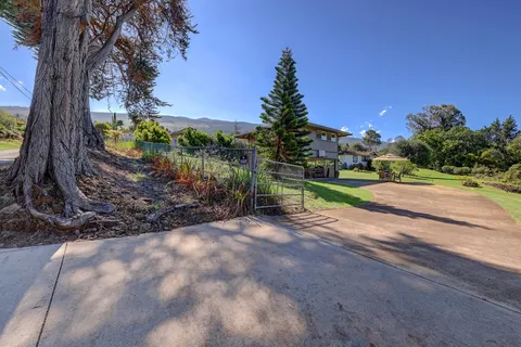 a view of a yard with plants and a trees