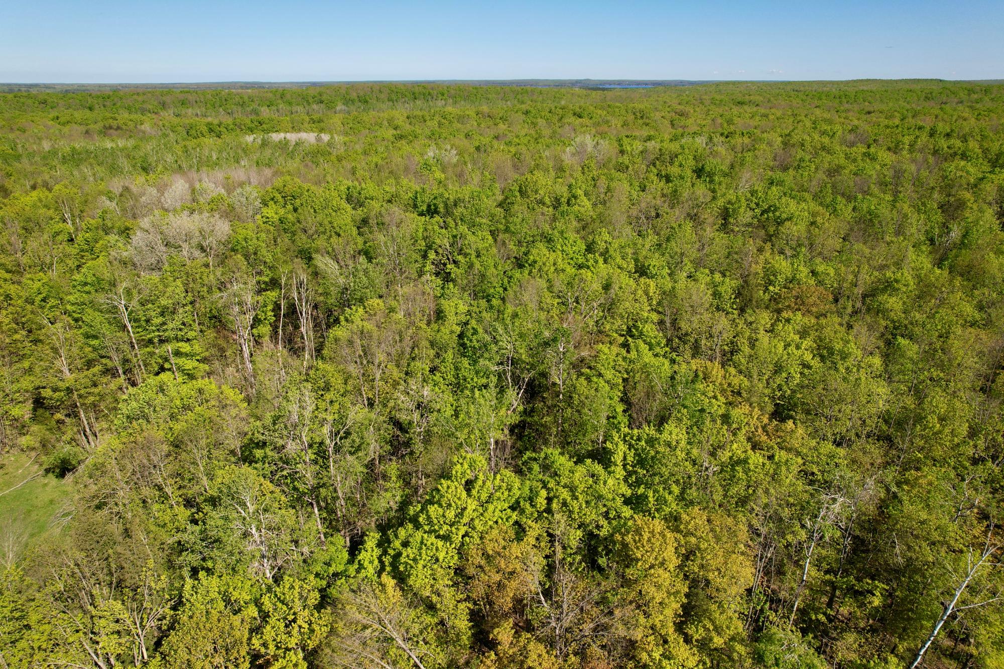 7227 Cth Road Argonne, WI 54511 - Photo 12 of 20 Gallery Image 12
