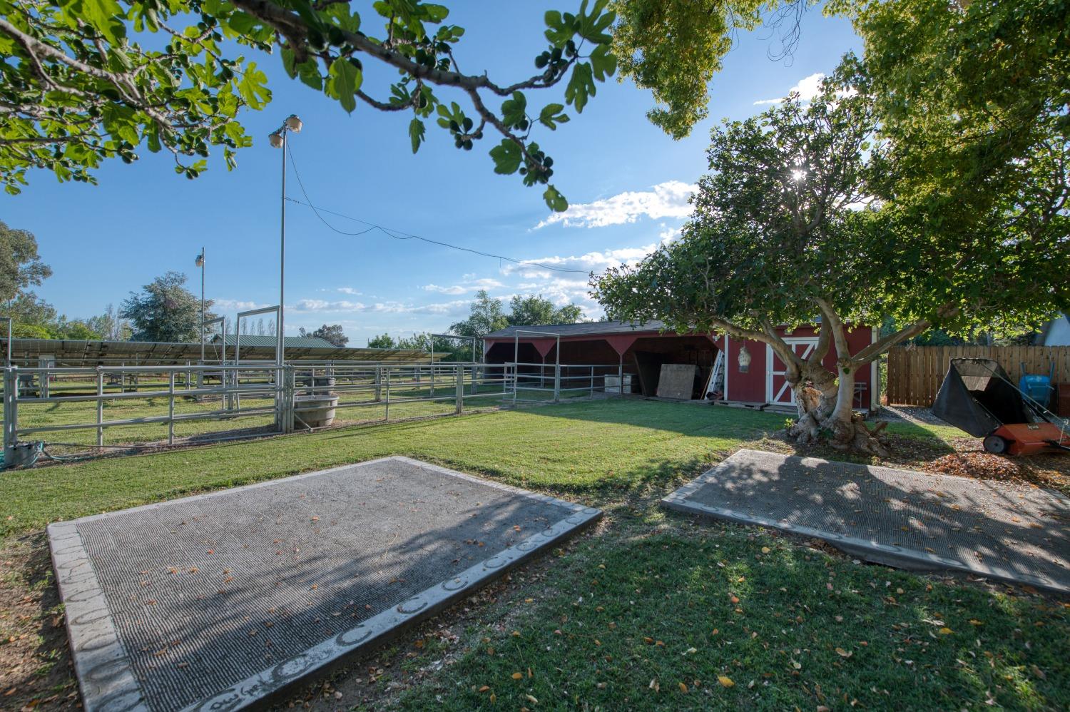 2988 Enterprise Avenue Clovis, CA 93619 - Photo 12 of 99 a view of a park with large trees