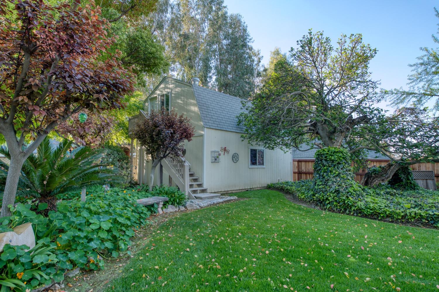 2988 Enterprise Avenue Clovis, CA 93619 - Photo 93 of 99 a view of backyard with potted plants and large trees
