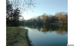 908 Ashford Way Fort Mill, SC 29708 - Photo 3 of 16 a lake view with a yard