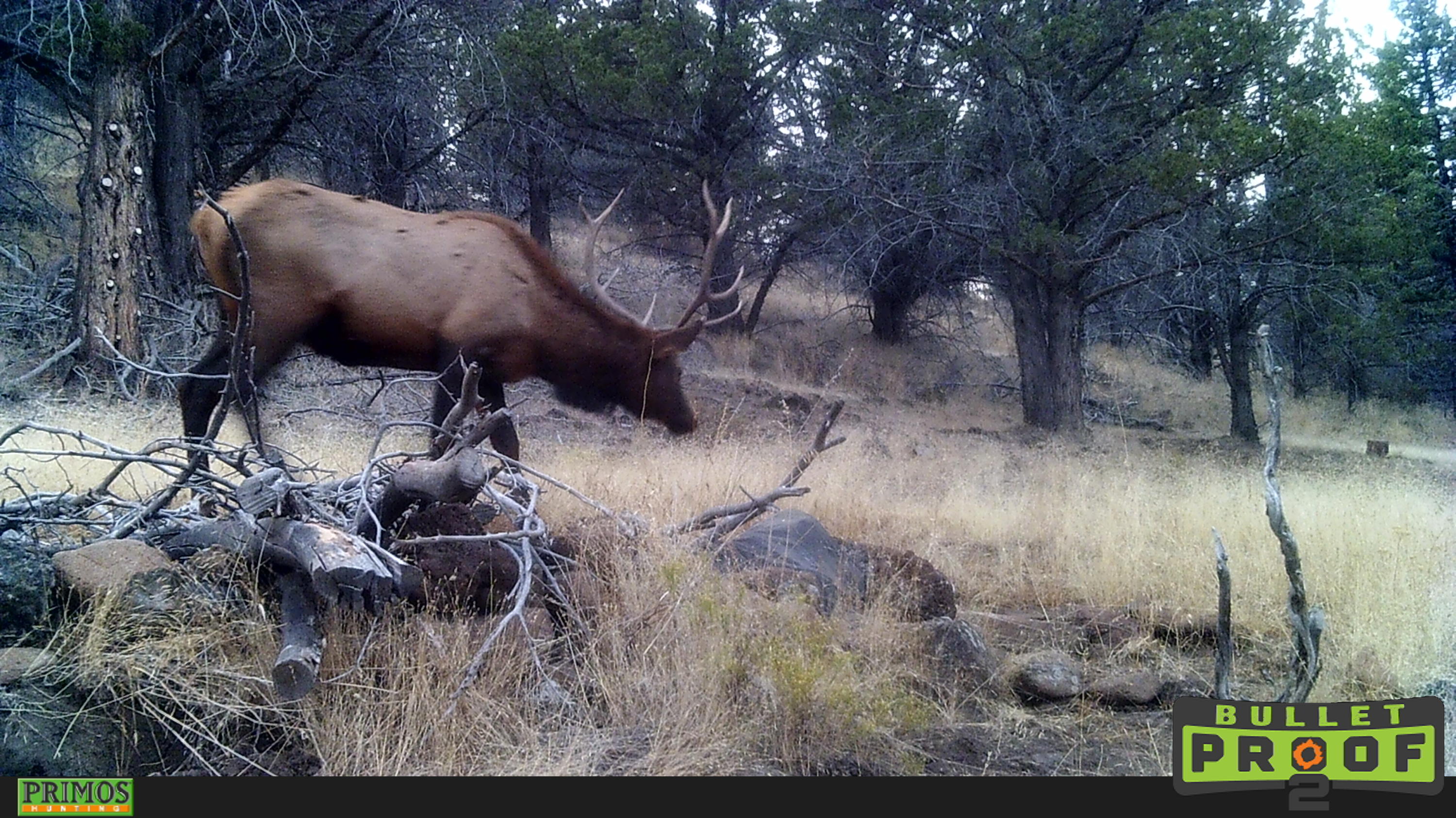 Shop Gulch Rd Mount Mount Vernon, OR 97865 - Photo 20 of 21 HUNT0790