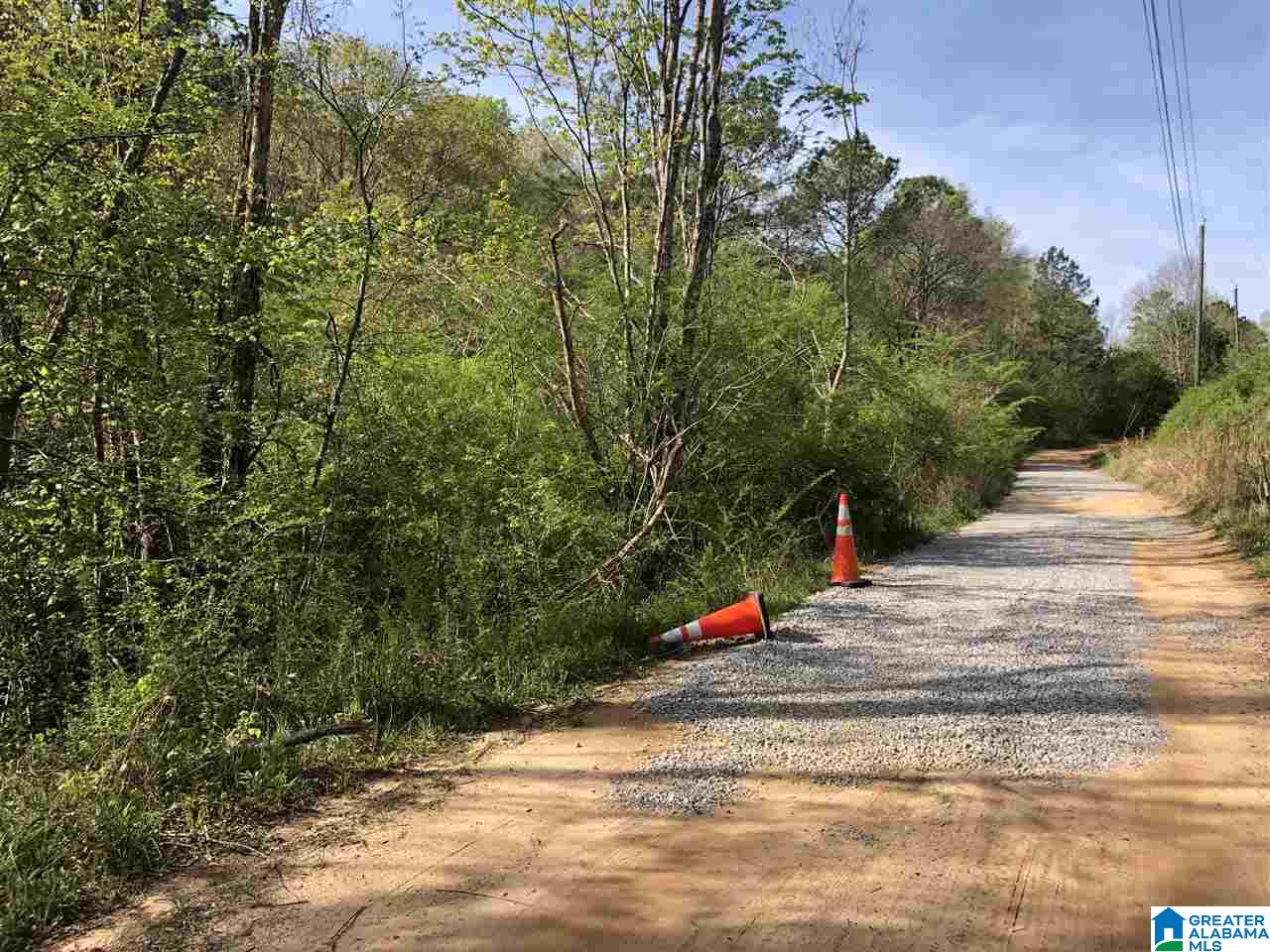 11-acres Morgan Road, Unit 11 ACRES Helena, AL 35022 - Photo 7 of 11