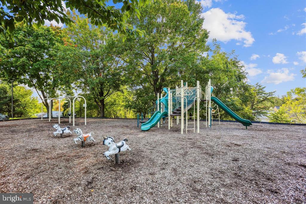 55 Timber Rock Road Gaithersburg, MD 20878 - Photo 54 of 88 The Orchards Playground