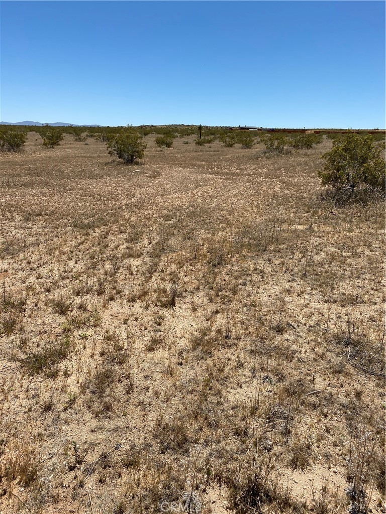 900 Fetlock Landers, CA 92285 - Photo 2 of 7