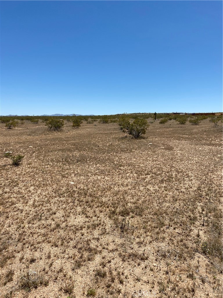 900 Fetlock Landers, CA 92285 - Photo 3 of 7