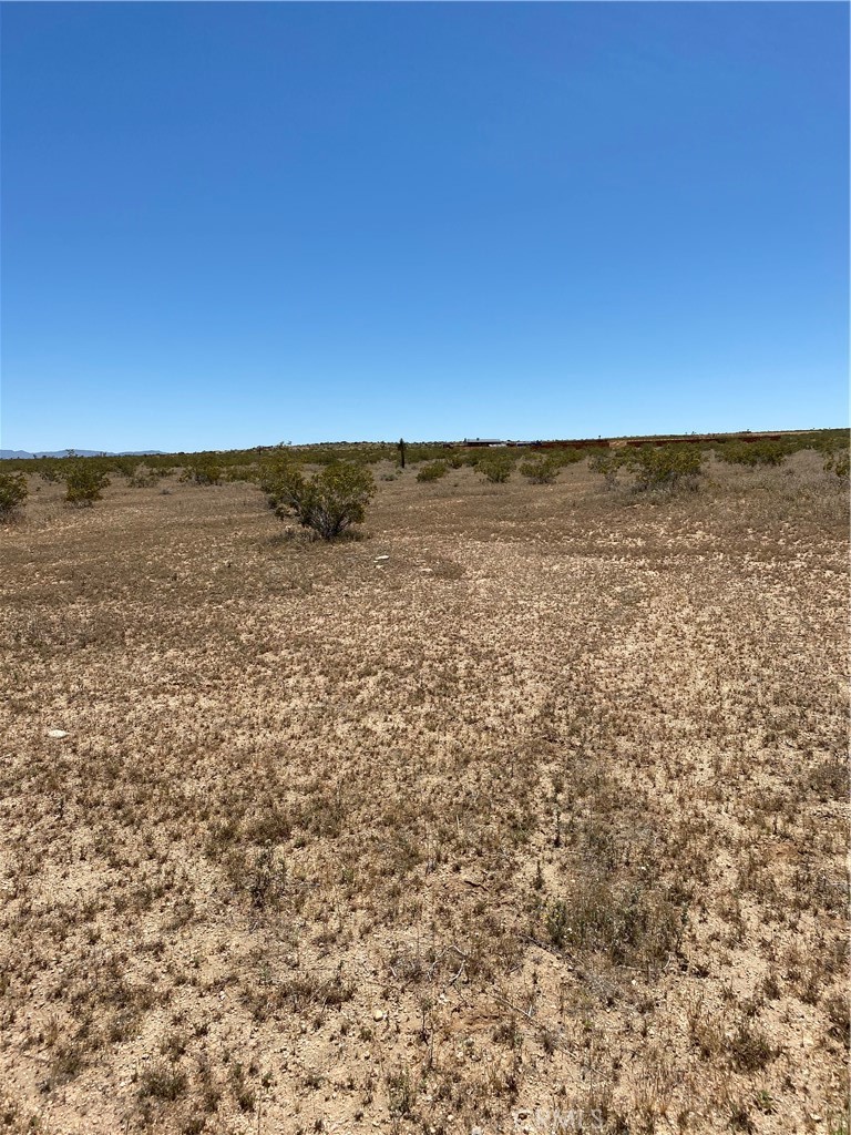 900 Fetlock Landers, CA 92285 - Photo 4 of 7